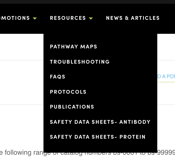Screen Shot 2024-01-19 at 4.09.05 PM.png
